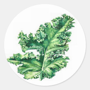 Rond Sticker Kale
