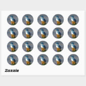 Rond Sticker Kingfisher Bird Wildlife (Feuille)