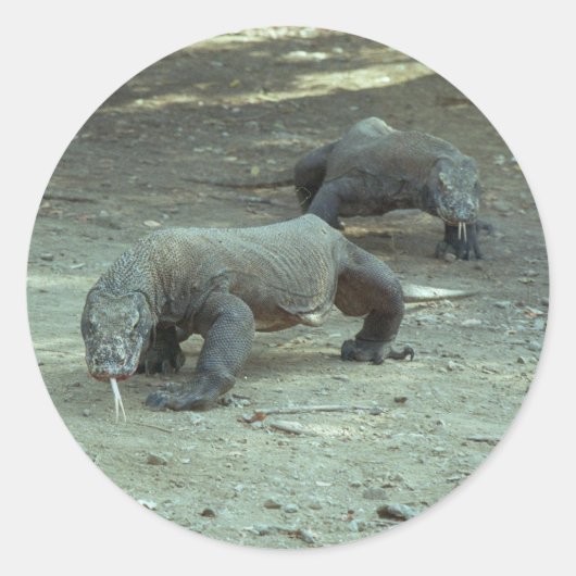 Rond Sticker Komodo Dragon (Devant)