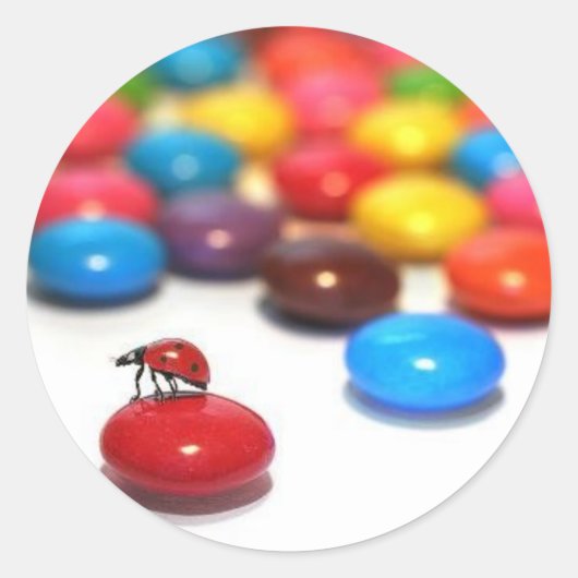 Rond Sticker Ladybug (Devant)