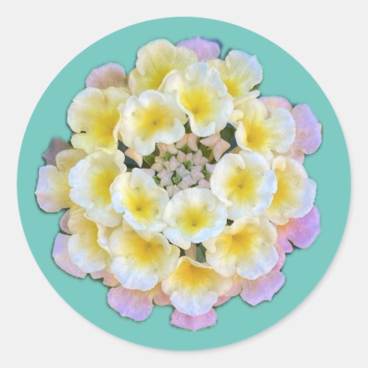 Rond Sticker Lantana Flowers (Devant)
