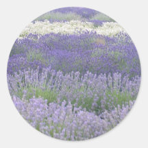 Sticker Lavender