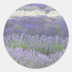 Rond Sticker Lavender
