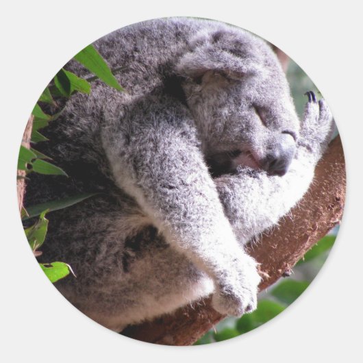 Rond Sticker Lazy Koala (Devant)