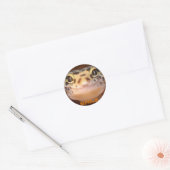 Rond Sticker Leopard Gecko Smile (Enveloppe)