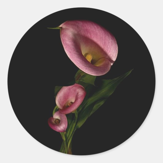 Rond Sticker Lilly (Devant)