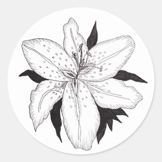 Rond Sticker Lily (Devant)