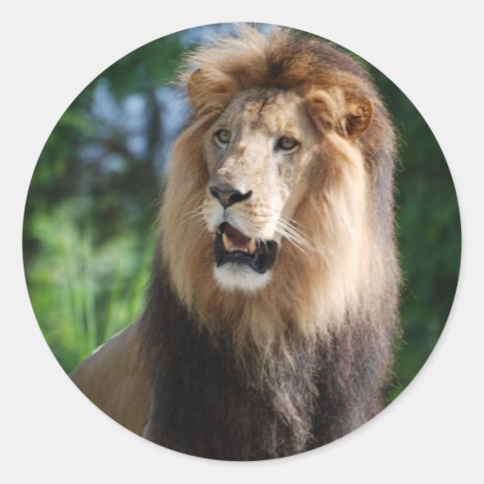 Rond Sticker Lion Regal (Devant)