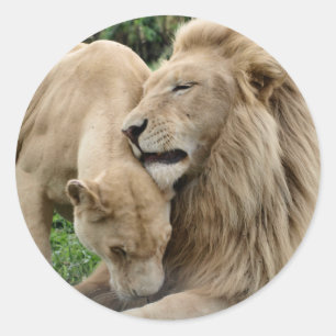 Rond Sticker Lions Lover