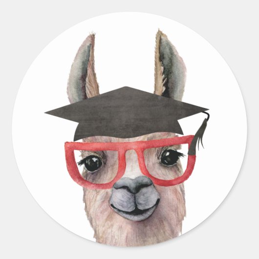 Rond Sticker Llama pour diplôme amusant (Devant)