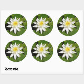 Rond Sticker Lotus Blanc (Feuille)