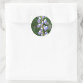 Rond Sticker Lupine (Sac)