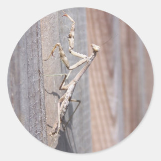 Rond Sticker Mantis