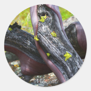 Rond Sticker Manzanita