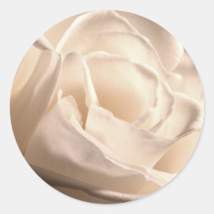 Rond Sticker Mariage d'enveloppe Rose blanche