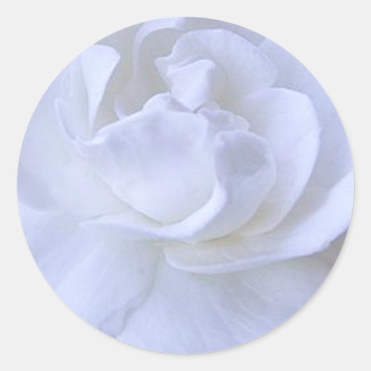 Rond Sticker Mariage Rose blanche (Devant)