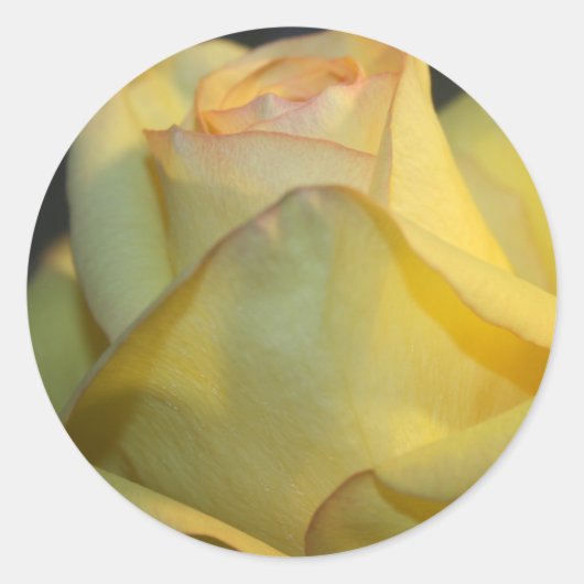 Rond Sticker Mariage rose jaune (Devant)