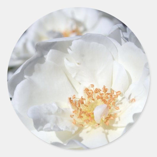 Rond Sticker Mariage Roses Blanches et Blanches (Devant)