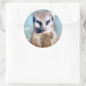 Rond Sticker MEERKAT (Sac)
