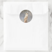 Rond Sticker Meerkat Cute (Sac)