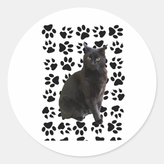 Rond Sticker Mister 4 (Devant)