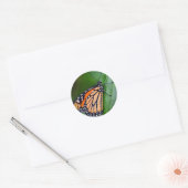 Rond Sticker Monarch (Enveloppe)