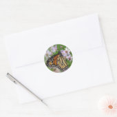 Rond Sticker Monarque sur Asters (Enveloppe)