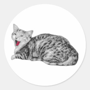 Rond Sticker Monochrome Tabby Chat de Yawning avec Tong