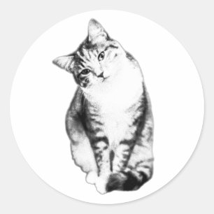Rond Sticker Monochrome Tabby Tête