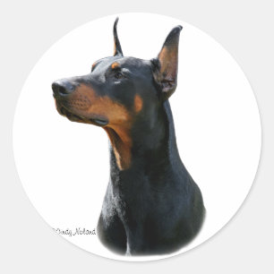 Rond Sticker noir tête Dobermann Pinscher