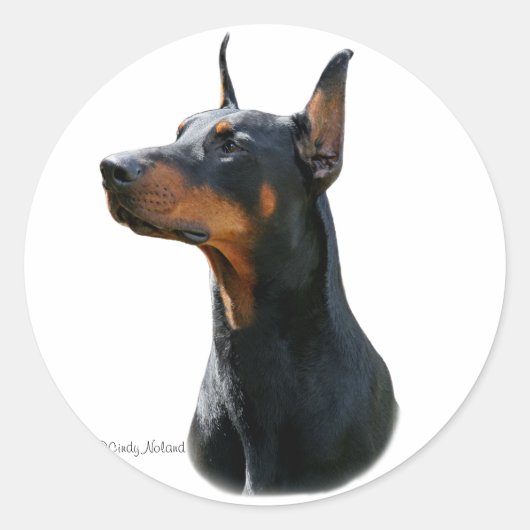 Rond Sticker noir tête Dobermann Pinscher (Devant)