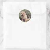 Rond Sticker Norwich Terrier (Sac)