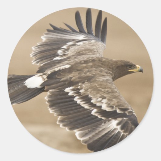 Rond Sticker Oiseau Aigle Volant (Devant)
