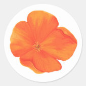Rond Sticker Orange Fleur sauvage (Devant)