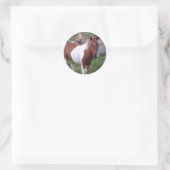 Rond Sticker Paint Pony (Sac)