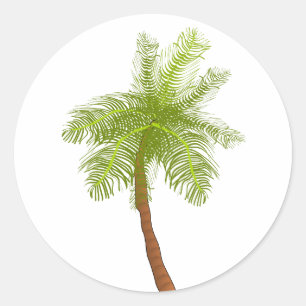 Rond Sticker Palm Tree