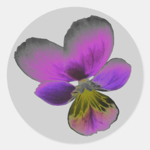 Rond Sticker Pansy Wild Dark Purple