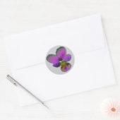 Rond Sticker Pansy Wild Dark Purple (Enveloppe)