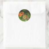 Rond Sticker papillon Monarque (Sac)