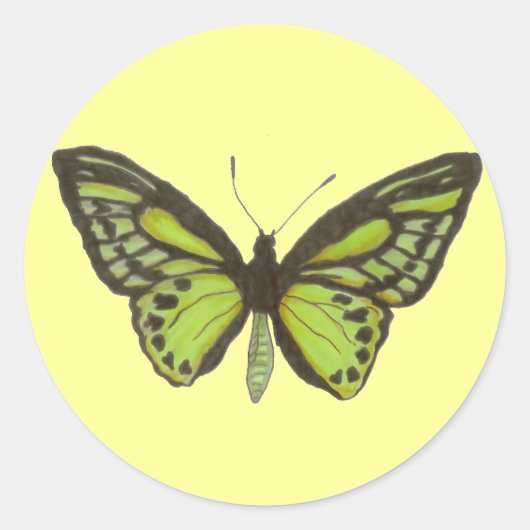 Rond Sticker papillon vert (Devant)