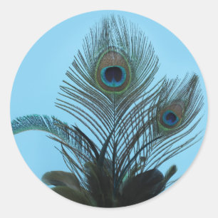 Rond Sticker Peacock élégant (turquoise)