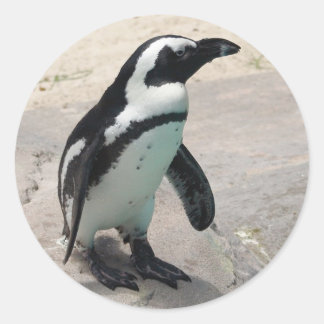 Rond Sticker Penquin