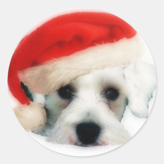 Rond Sticker père Noël Schnauzer (Devant)