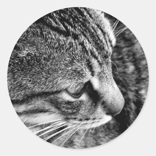 Rond Sticker photo de chat noir et blanc (Devant)