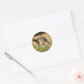 Rond Sticker photo Kangaroo (Enveloppe)