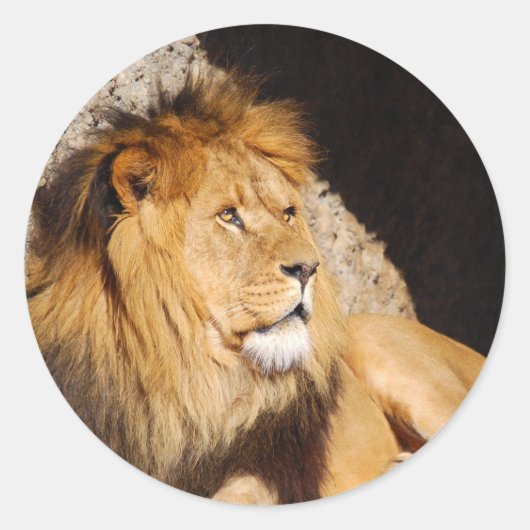 Rond Sticker photo Lion (Devant)