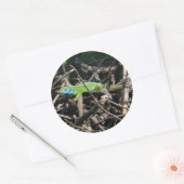 Rond Sticker photo Lizard vert (Enveloppe)