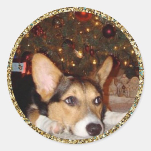 Rond Sticker photo Parties scintillant or (Devant)