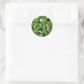 Rond Sticker photo Plante Basil (Sac)