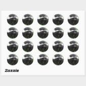 Rond Sticker photo Skunk (Feuille)